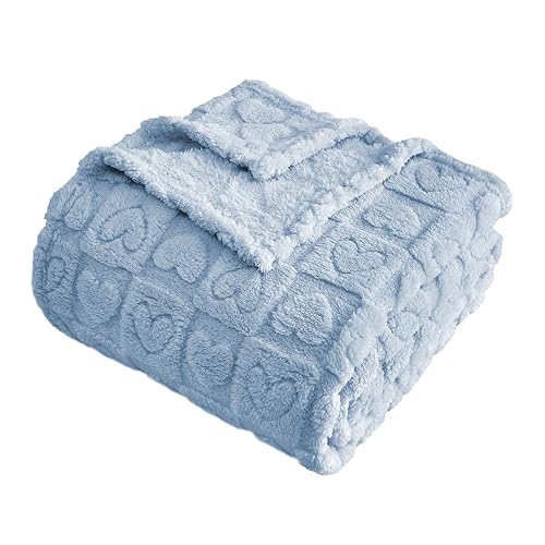 FY FIBER HOUSE Knitted Throw Blankets with Heart Checkered,Soft Warm Blankets for Lover Mom Father Gifts,Washable Lightweight Fuzzy Blanket for Couch Sofa Bed All Season(Light Blue,90"x90") - Light Blue - Queen(90"x90")