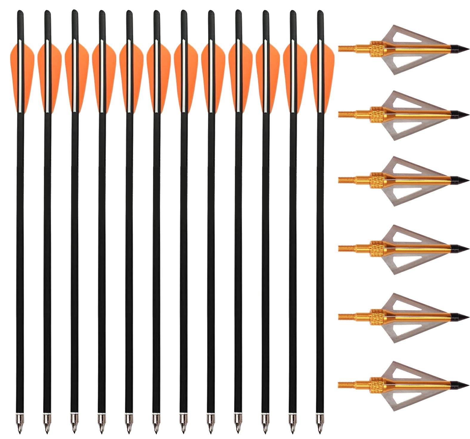 12 Pack Carbon Crossbow Bolts - 16/18/20/22 Inch Hunting Arrows With Moon Nocks & Removable Tips