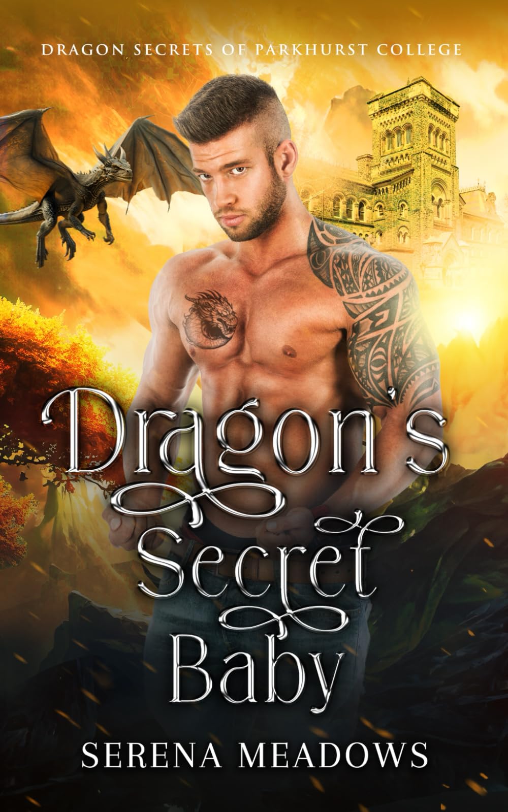 Dragon's Secret Baby: (Dragon Secrets of Parkhurst College)