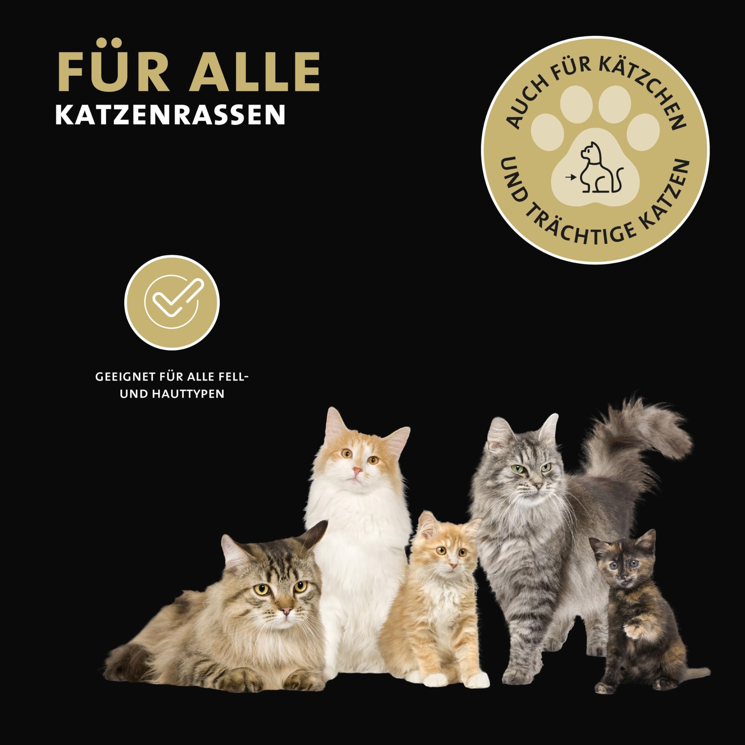 Peticare Anti-Parasiten Katzen-Shampoo | gegen Milben Flöhe Pilze | lindert effektiv Juckreiz & unterstützt Regenerationsprozess | einzigartiges PRS® System für Lange Wirkung – petCat Health 3104
