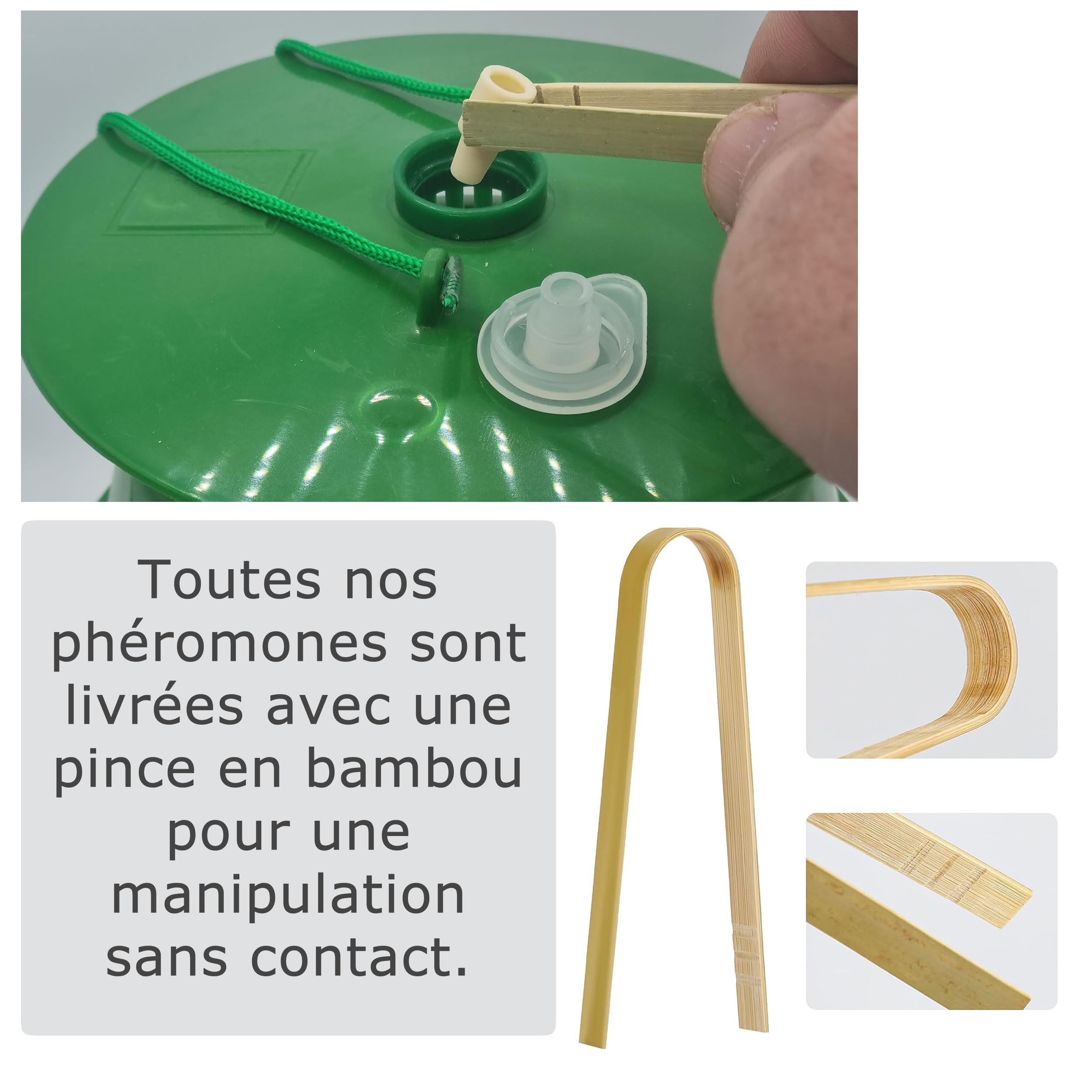 SOLUPHERO - Kit 1 Piège Funnel + 6 Phéromones Mineuse Marronnier Bio - Efficacité par Capsule de 4 à 6 Semaines - Phéromone Écologique de Contrôle de Cameraria Ohridella