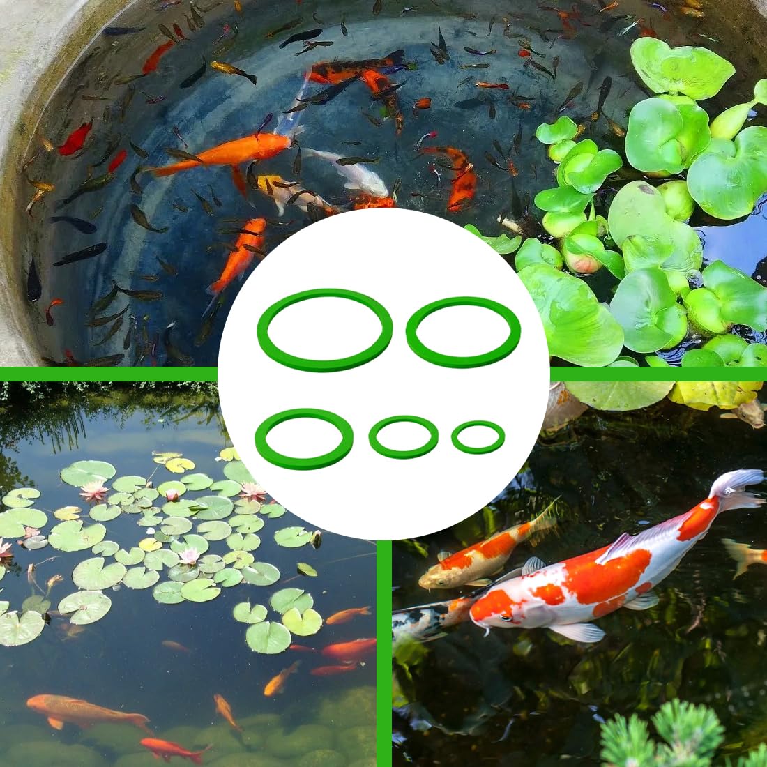 WUSJCOF 5 Pièces Anneaux Flottantes d'Aquarium, Corail Flottant en Mousse, Anneau d'alimentation Poisson pour Aquarium avec Plante Aquarium (5 tailles)