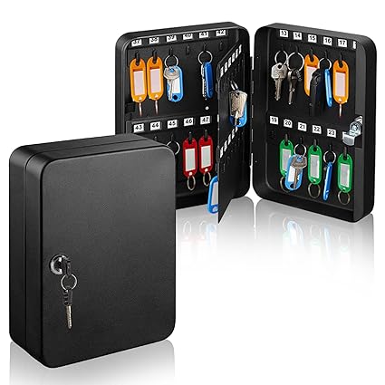 AdirOffice Key Steel Security Storage Holder Cabinet Valet Lock Box (48 Key, Black)