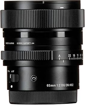 Amazon.com : Sigma 65mm F2.0 DG DN for L-Mount : Electronics