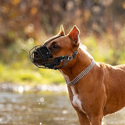 Miniatura 7 de Rottweiler - Bozal para perro, máscara de metal, cesta de alambre Amstaff, transpirable, ajustable, correas de cuero transpirables para perros