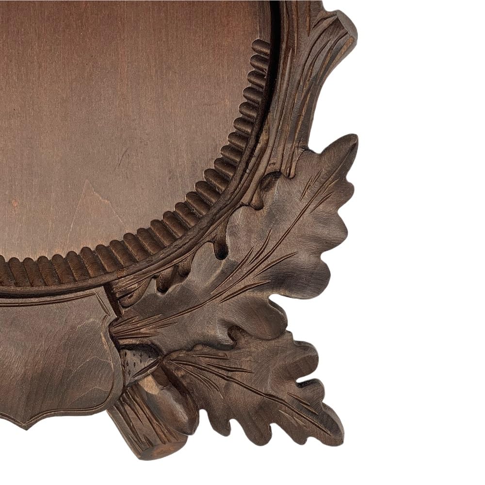 Hi Life Living Nature Scudo di Legno per Trofeo Cinghiale. Denti. Zanne. Caccia. 26x25cm 032203