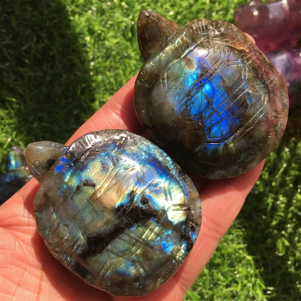 1PCS Labradorite Quartz Crystal Tortoise Skull Hand Carved Home Decor