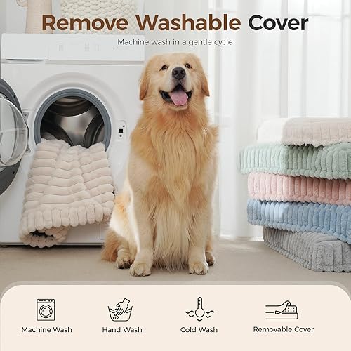 Orthopedic Dog Bed for Medium Dog — side view showing full product dimensions