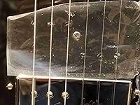 Review Image by Gary_72653 Gary_72653