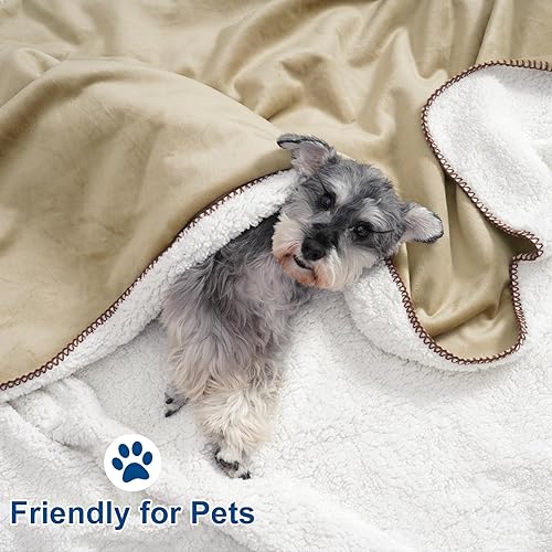 Miniatura 3 de PHF Manta de forro polar Sherpa tamaño Queen, 16.93 ozm gruesa y cálida manta reversible para invierno, no se desprende, no hace bolitas, manta