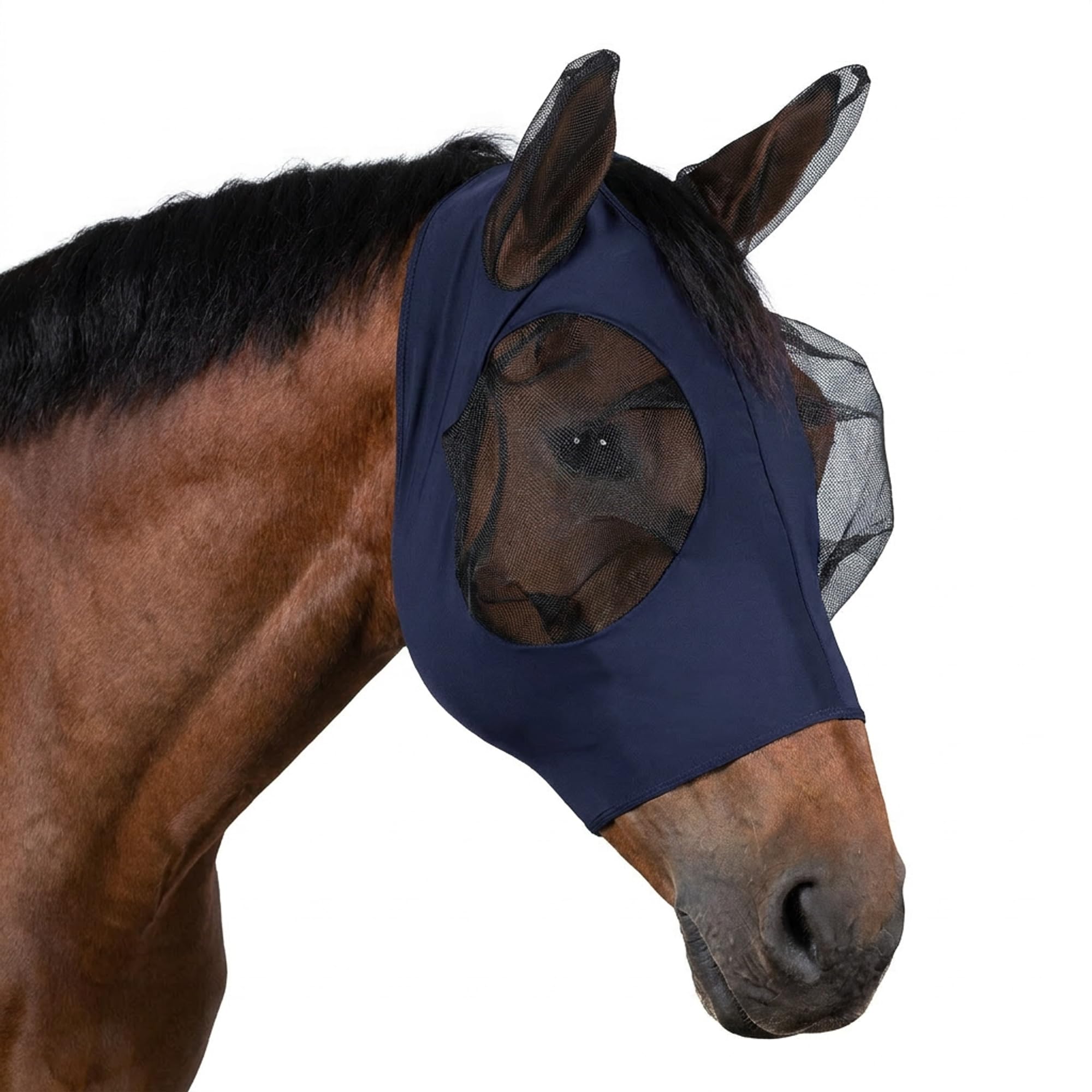 ARBO-INOX Fliegenmaske für Pferde mit Ohren – Sicherer Fliegenschutz auf der Weide – Elastisches Gewebe, Mesh an Augen, Reißverschluss, Navy