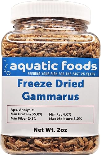 Miniatura 1 de Aquatic Foods Inc. Camarones Gammarus liofilizados. Ideal para todos los peces tropicales, peces marinos, cíclidos, carnívoros, discos, peces de