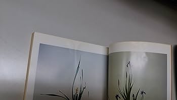 Amazon.co.jp: 池坊立華の学び方 中編 : 大島立容: 本