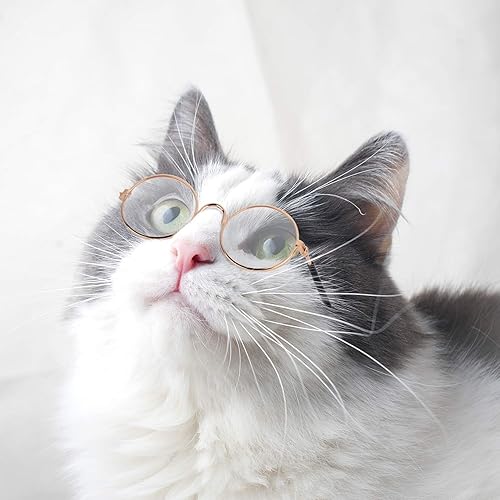 Miniatura 7 de 10 lentes de sol para gatos y perros, divertidos anteojos redondos de metal para gatos, clásicos, retro, para mascotas, hippie, lindo, perro, gato,