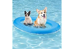 Paddle Paws Spring Float Dog Raft: Summer Fun for Your Furry Friend