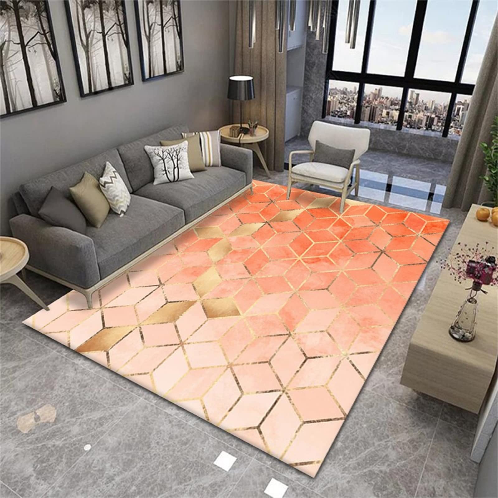 Tapis lavable 200x300 cm résistant pour protéger le sol du salon et de l'entrée