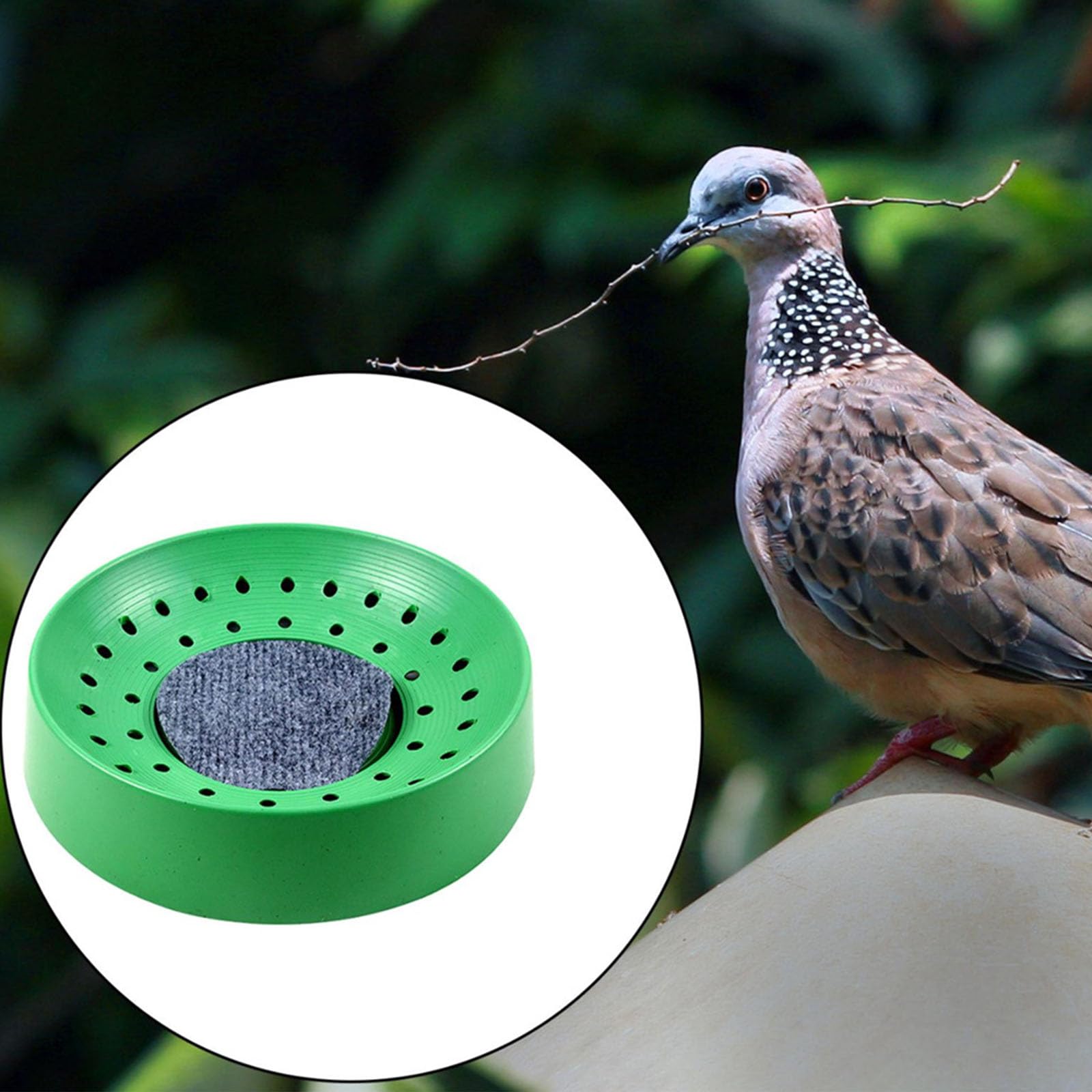 Ventilado Anti Roll Palomas Nido Huevos Incubadora de Pájaros de Plástico Simple para Balcón Jardín Plástico Bird Bowl