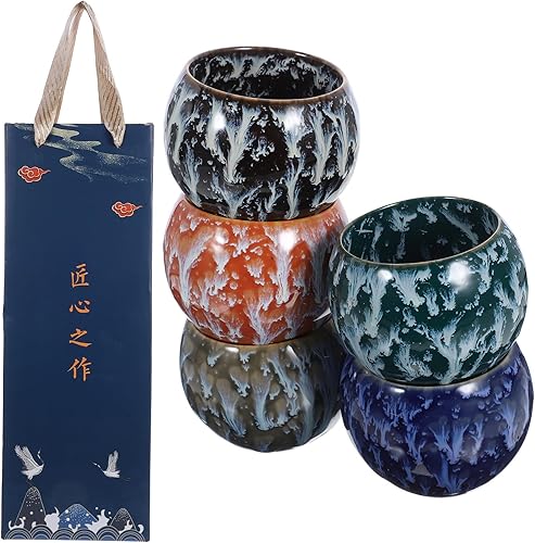 DIYEAH Service à Thé en Céramique - Coffret de 5 Petites Tasses Chinoises avec É