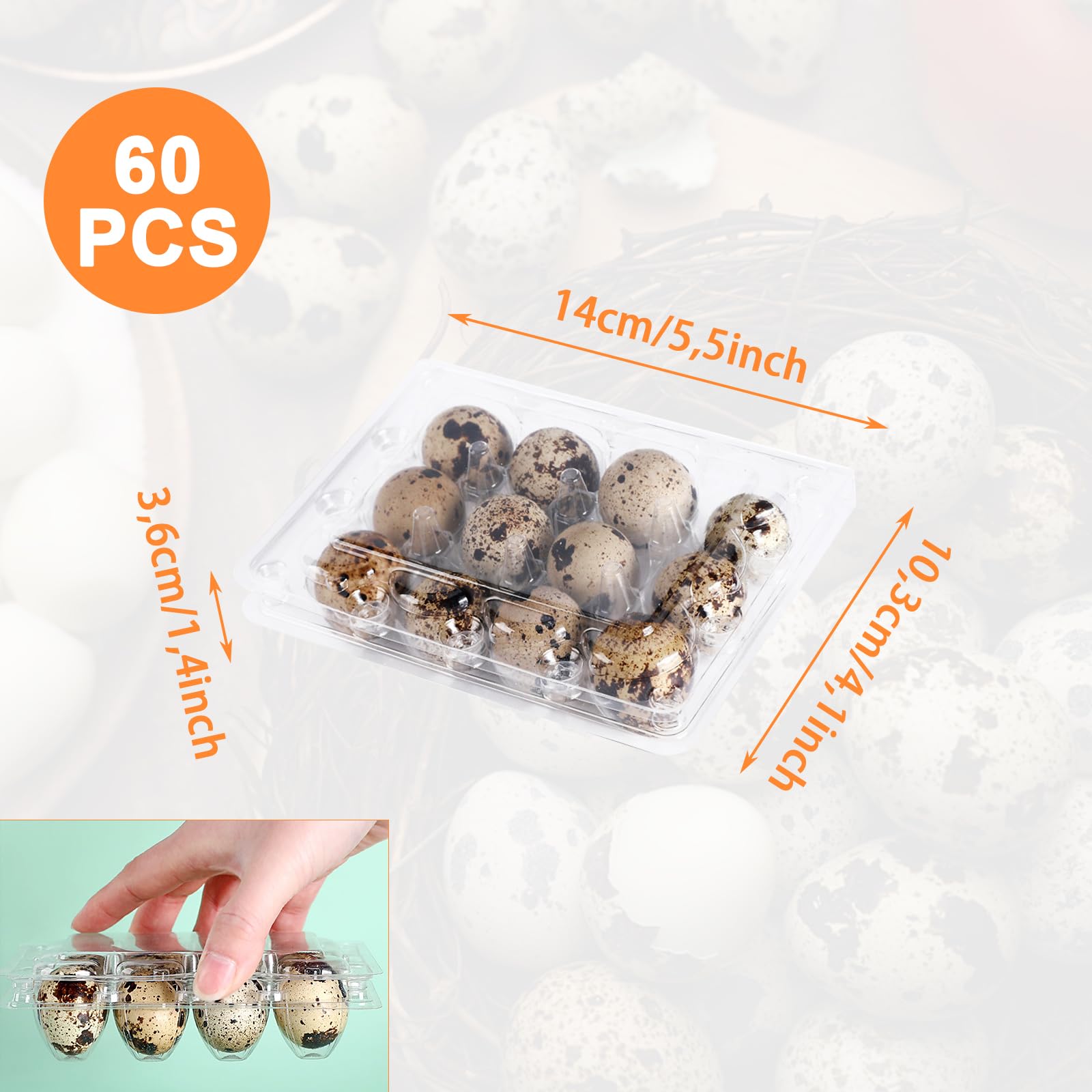 60 cajas de huevos de codorniz, 12 rejillas, cartón para huevos de codorniz