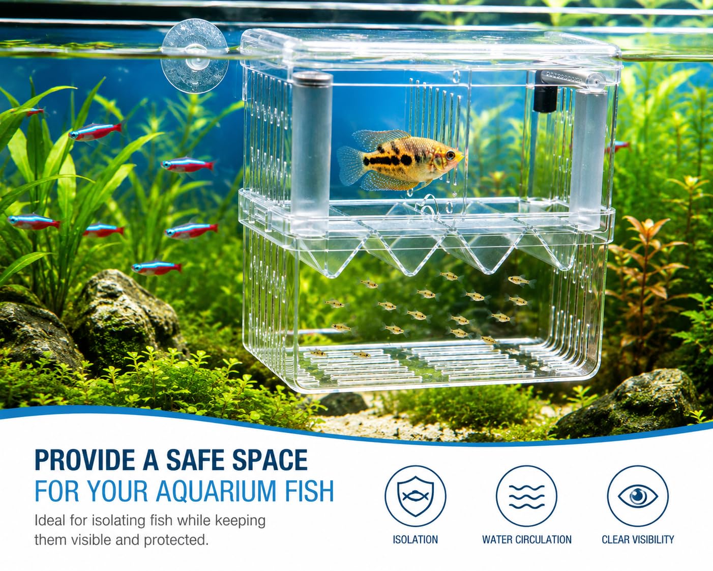 Scroll Store Aquarium Double Deck breeding Box for Fish | Isolation Box for Fish and Shrimp (Large) 1