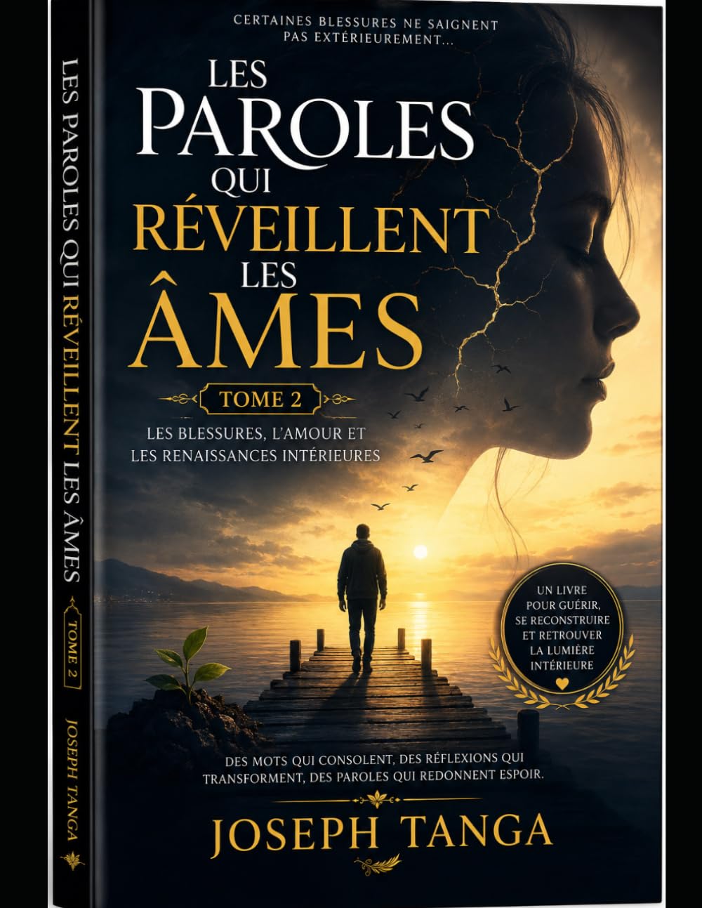 LES PAROLES QUI RÉVEILLENT LES ÂMES: Les blessures, l’amour et les renaissances intérieures