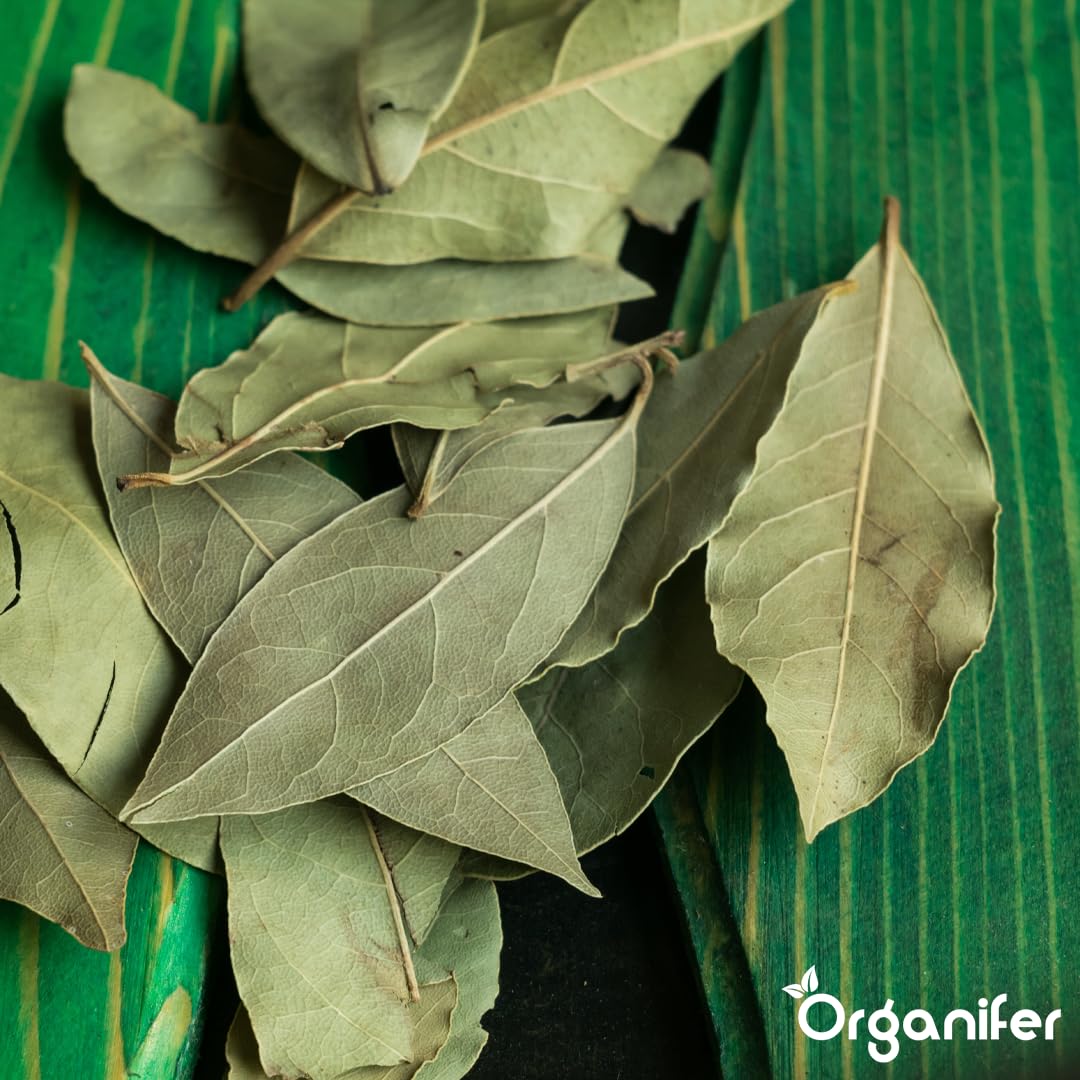 Fertilizante Líquido Para Laurel - 2x1L - NPK 3-4-3 | Fertilizante Para Hojas Sanas Y Raíces Fuertes - Favorece Vitalidad Y Aroma - Organifer