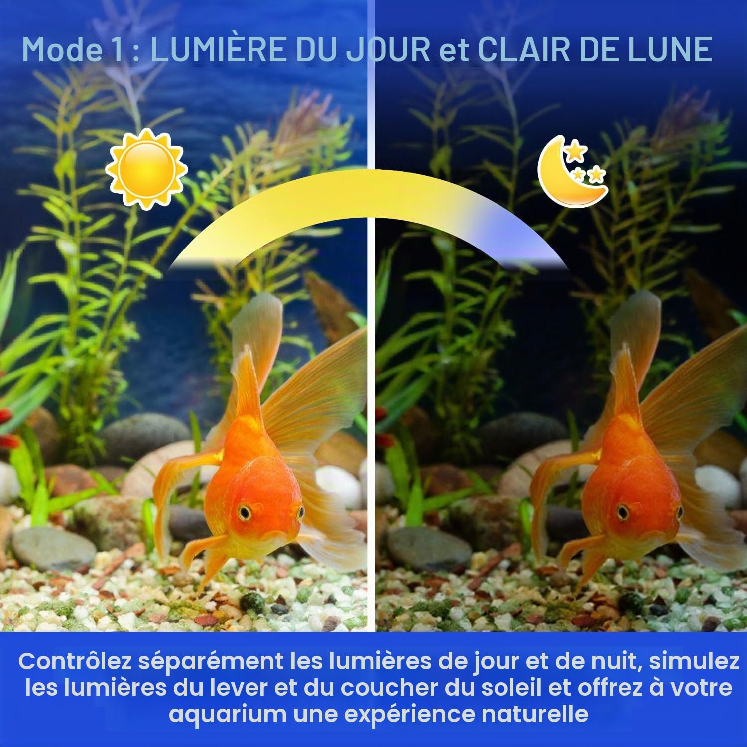 Éclairage LED pour aquarium - Spectre complet 24/7 - 10 niveaux de luminosité - Intensité variable - 45 W - Avec support extensible - Pour aquarium de 120 à 140 cm