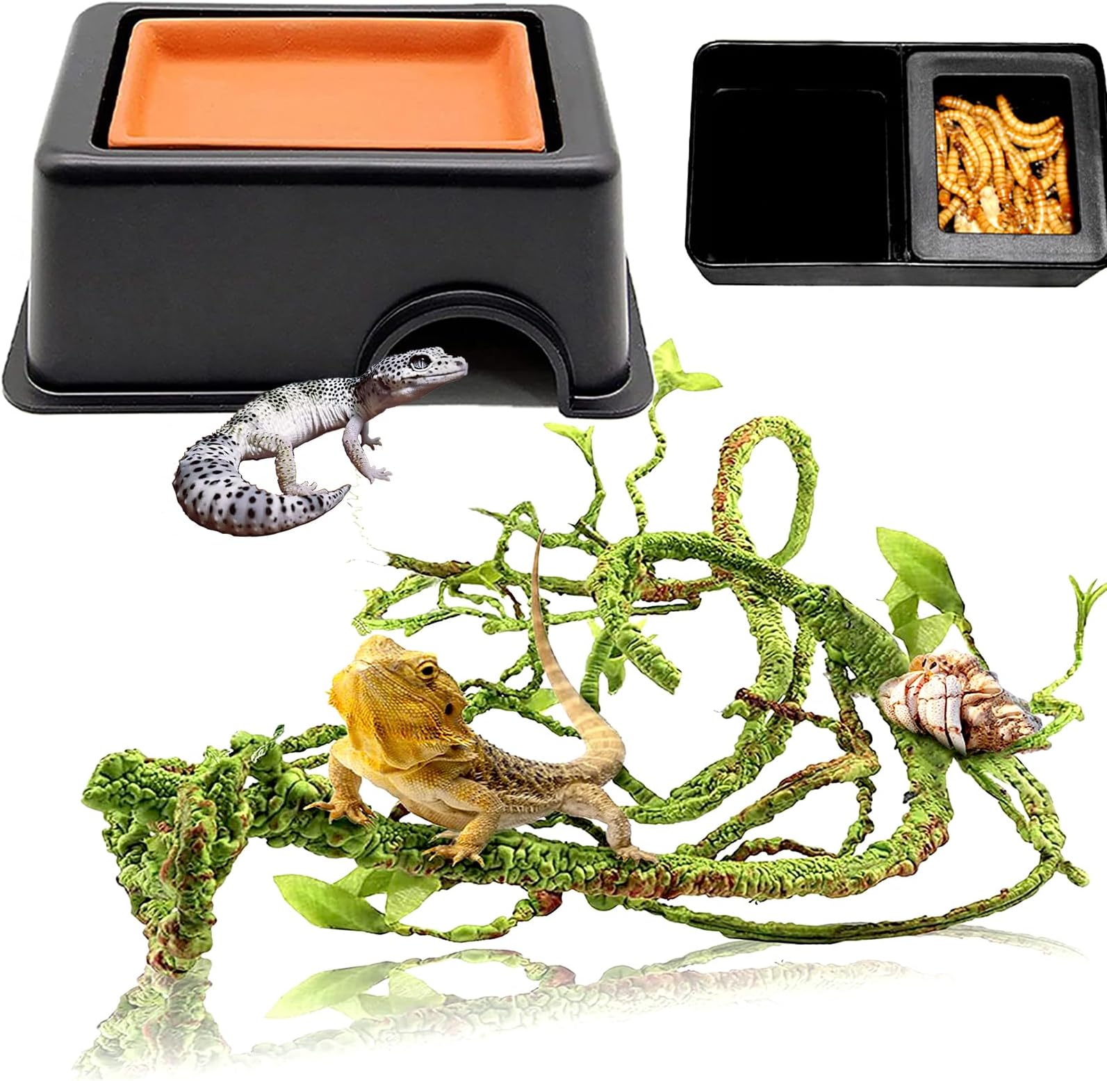 Woyrise Reptile Hide Box with Sink Humidifier Gecko