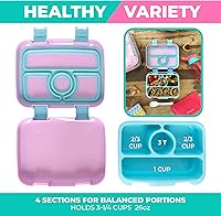 Vista 59 de Bento Lunch Box with Stainless Steel Thermo, Matching Insulated Lunch Bag and Ice Pack Set for Girls, Kids, 5 Divided Compartments, Snack Container