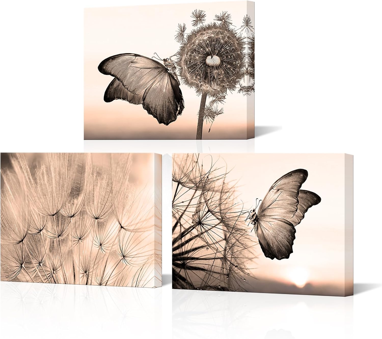 NutArtPic Dandelion Butterfly Canvas Wall Art Sepia Wish Flowers Pictures Prints Abstract Wall Artworks for Bathroom Bedroom Home Decor Ready to Hang 12"x16"x3pcs