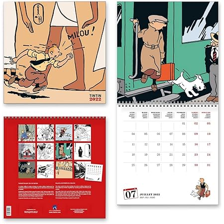 Calendrier Tintin 2023 Moulinsart 2022 Wall Calendar Tintin 30X30Cm (24449) : Amazon.co.uk:  Stationery & Office Supplies