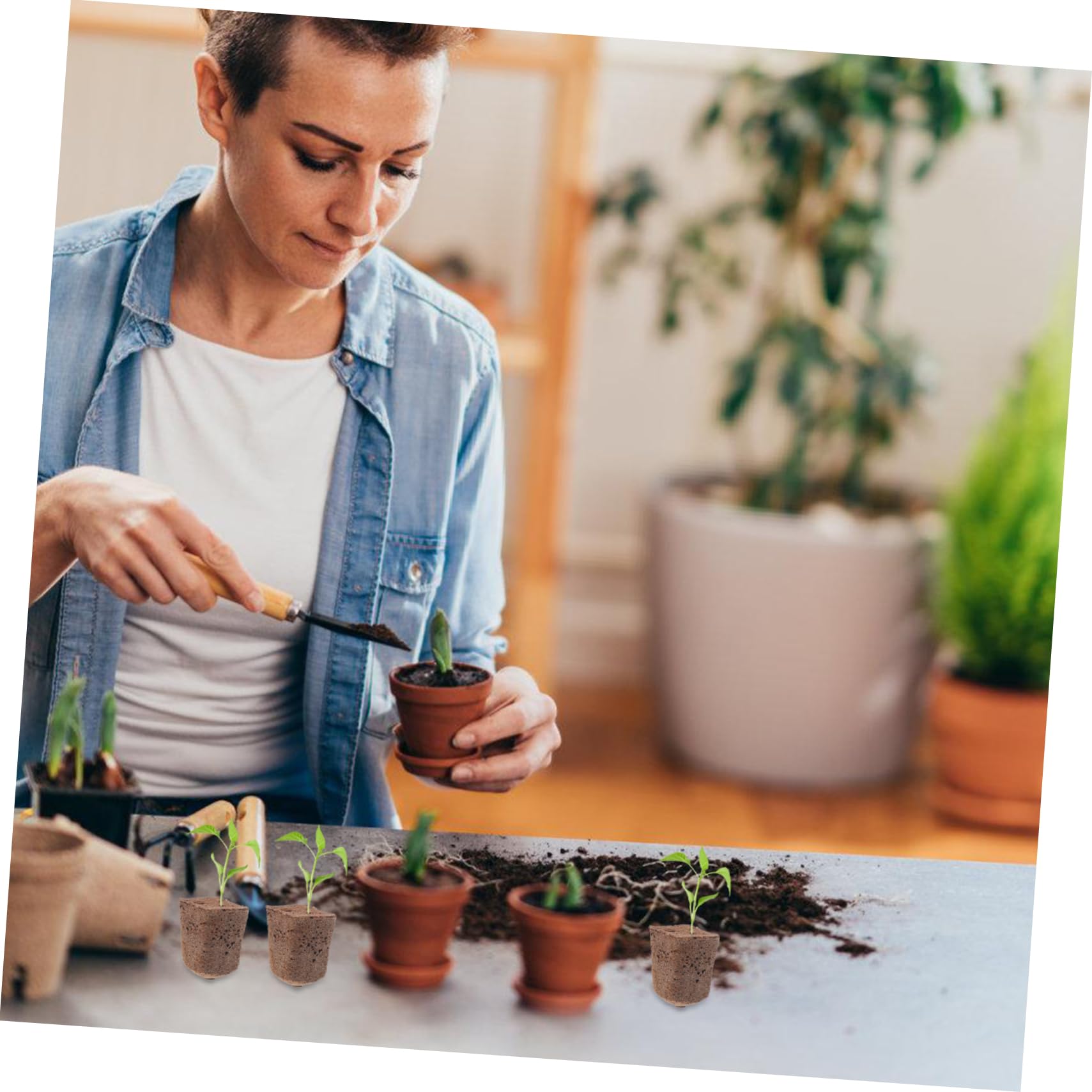SUPVOX 160pièces Cubes De Culture Soilless Bloc De Germination pour Plantes Supports De Croissance Écologiques pour Transplantation Et Propagation Jardinage