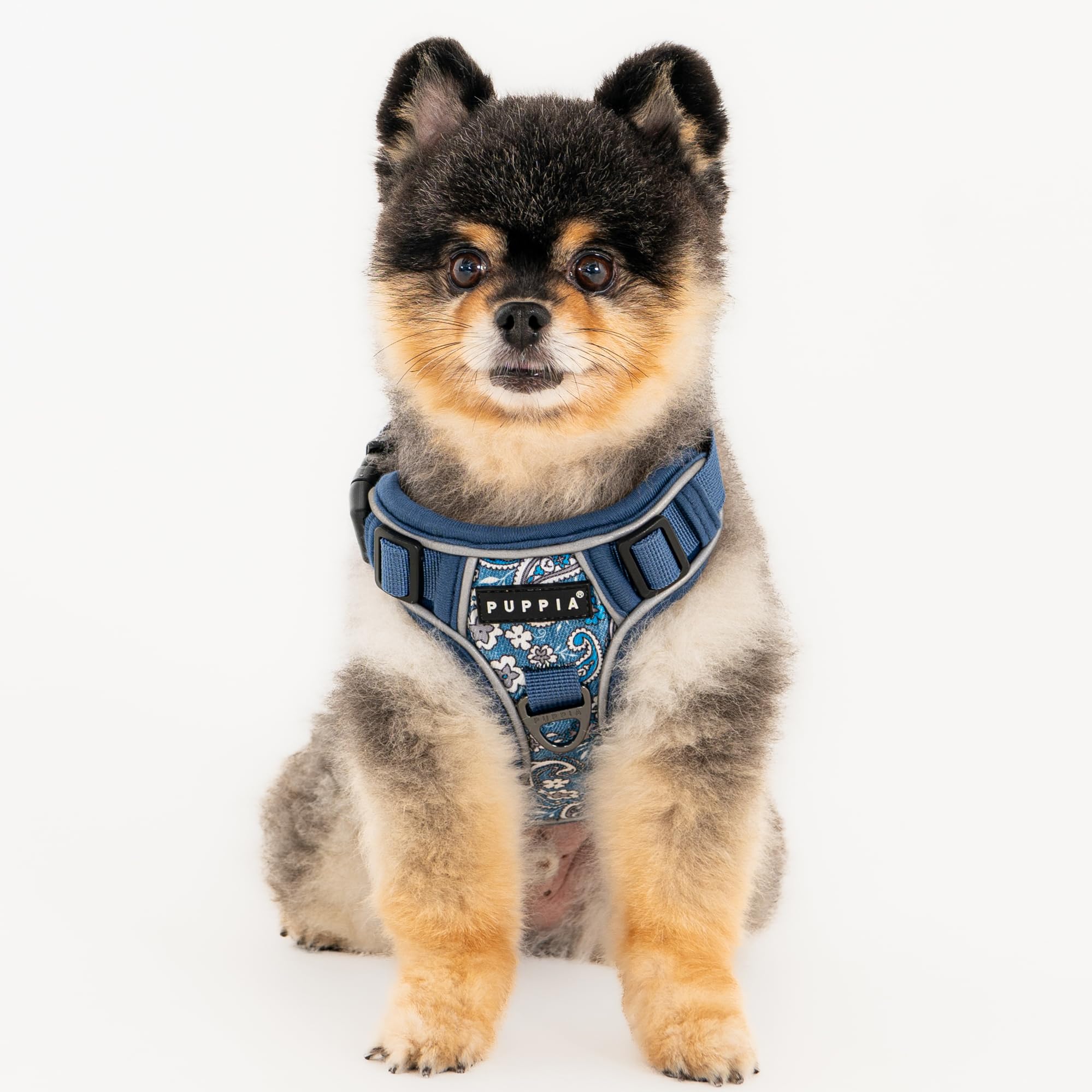 Puppia Cynthia Harnais pour chien H robuste, réglable pour le cou et la poitrine, motif floral réfléchissant sur le devant et l'arrière avec anneau en D pour chiens de petite et moyenne taille, bleu,