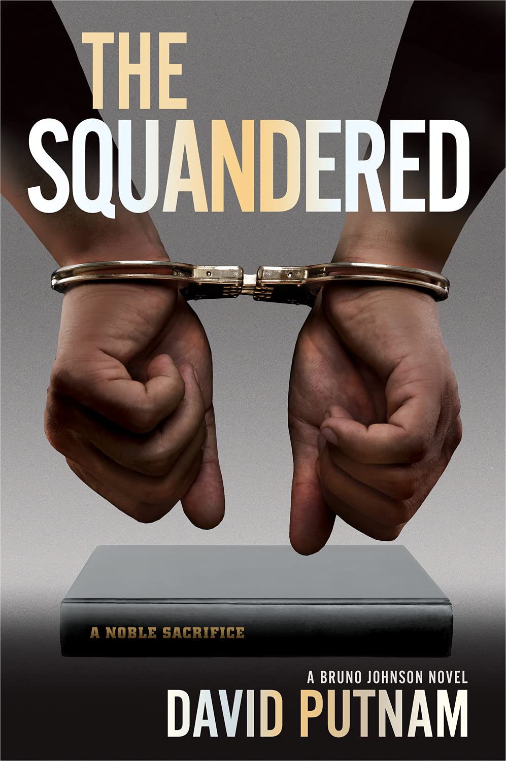 Buy The Squandered: A Bruno Johnson Novel — BookShops.in