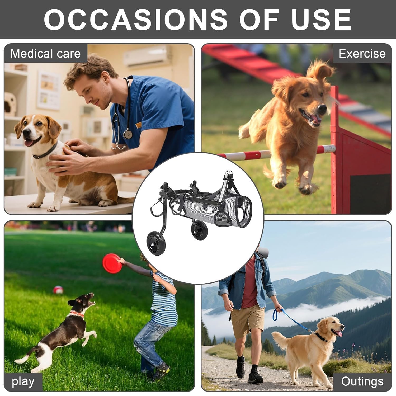 Hunderollstuhl für Hinterbeine, Zweirädriger klappbarer Rollstuhl für Hunde & Katzen, Verstellbare Mobilitätshilfe bei Lähmung und Behinderung für kleine Haustiere(M(10-20kg))