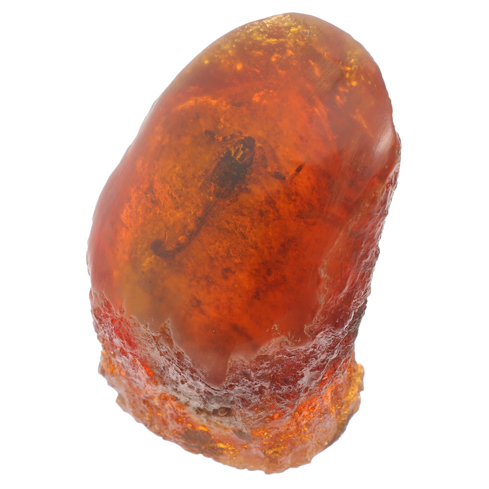 SOESFOUFU Scorpion Specimen Resin Stone Insect Ornament Natural Stones Decor for