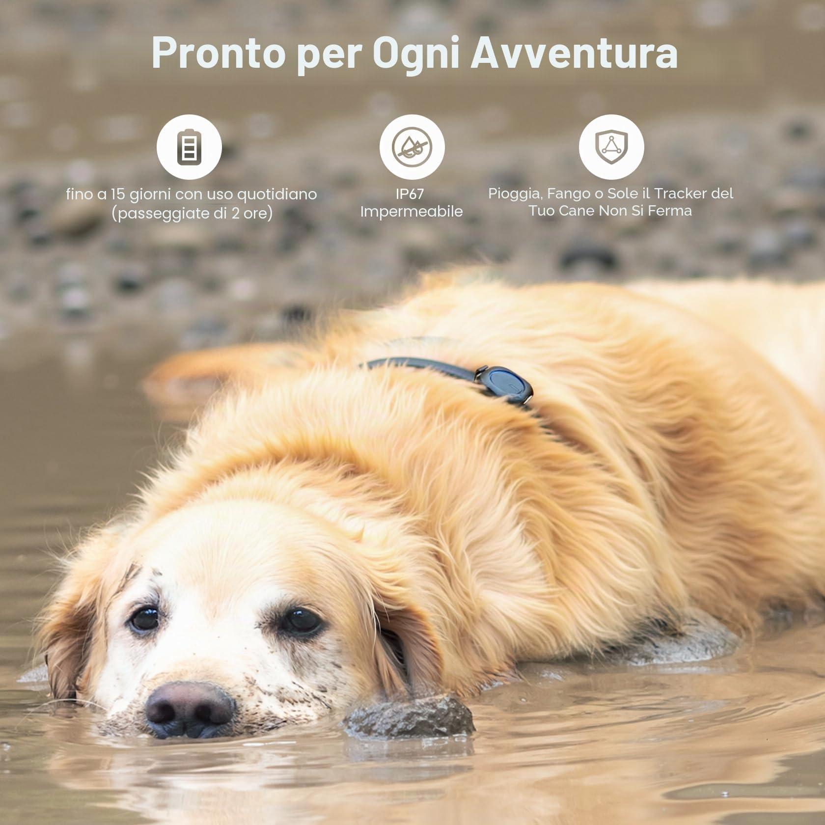 Aorkuler Localizzatore GPS per cani da esterno per aree senza segnale, localizzatore per animali domestici, localizzatore per animali domestici, monitoraggio in tempo reale per escursioni, passeggiate