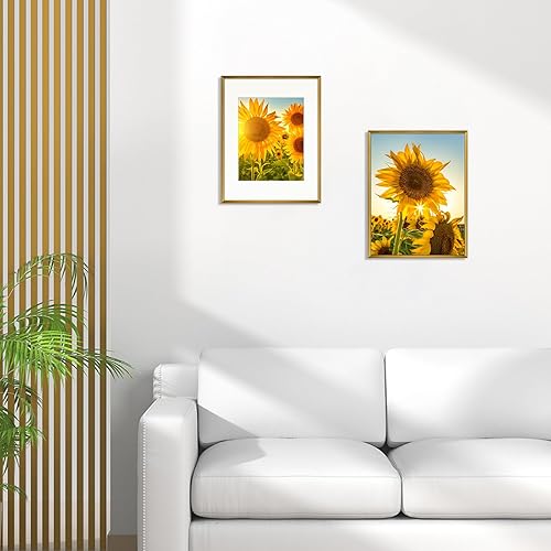 Miniatura 6 de Frametory - Marco de aluminio de 11 x 14 para fotos de 8 x 10 (en pulgadas), con paspartú marfil, de pared, con gancho de sierra, pestañas