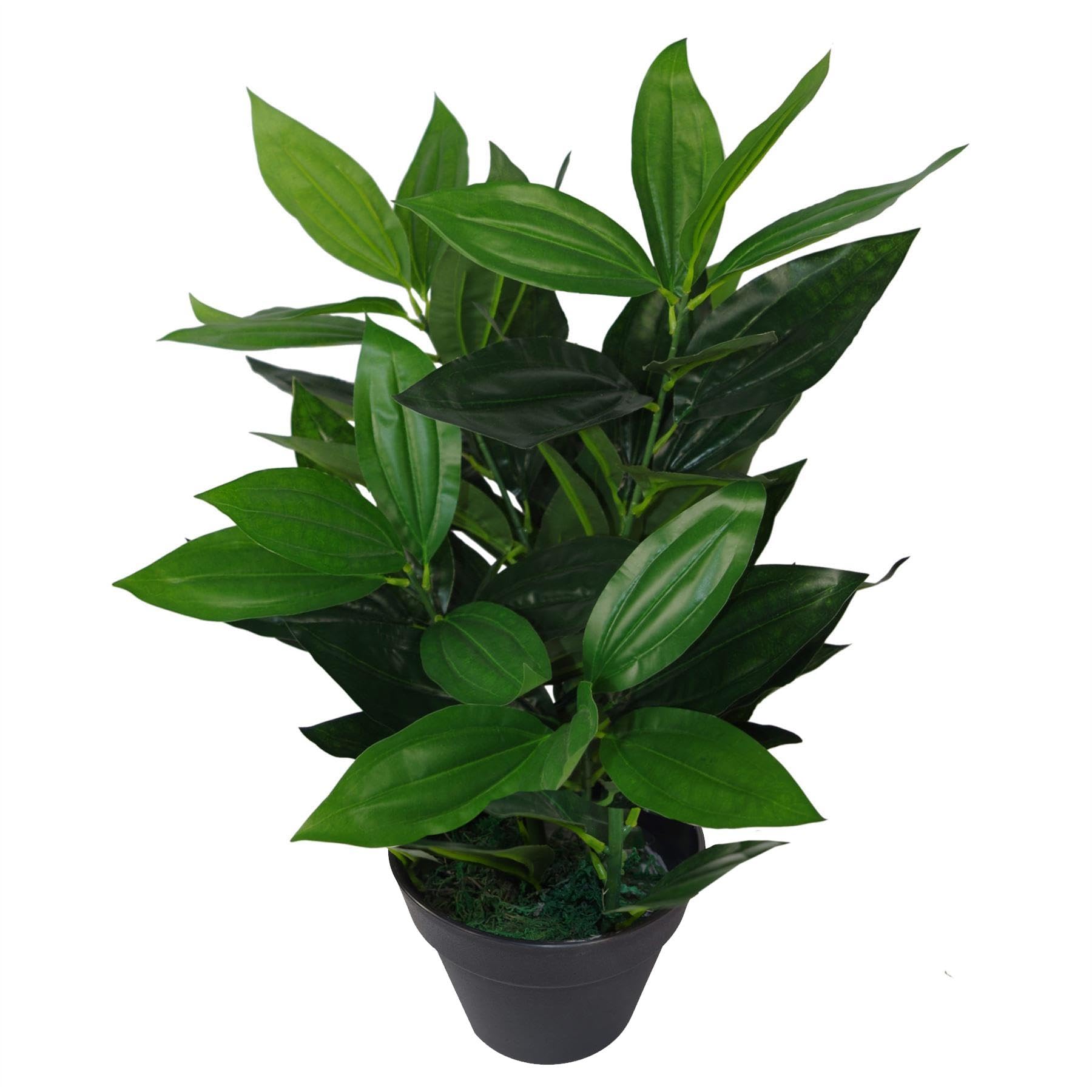 Leaf Design UK Realistic Large Artificial Foliage Plant with Pot, Evergreen, 70cm