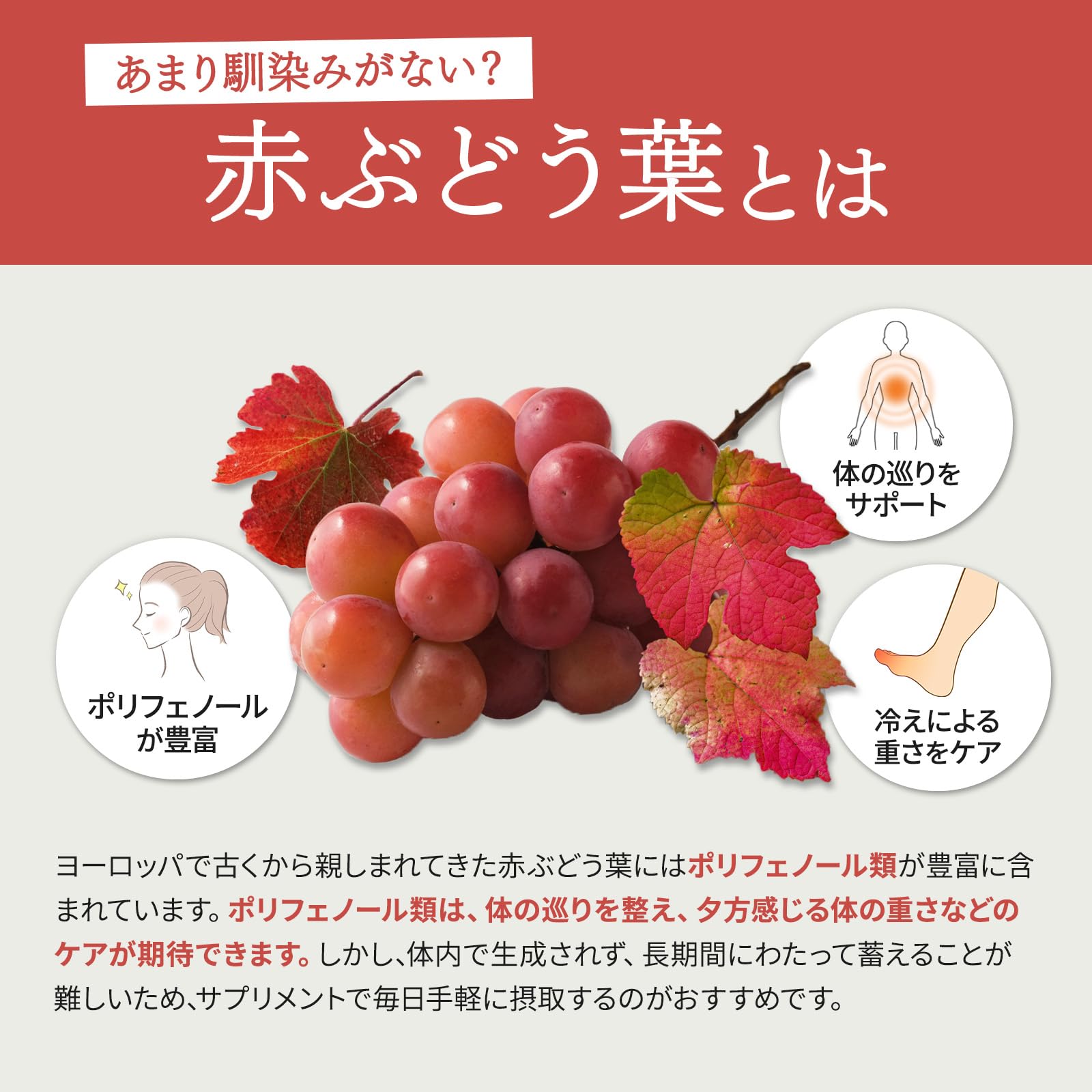 Amazon | メディワン 赤ぶどう葉スッキリ 30日分 60粒入り (300mg×60