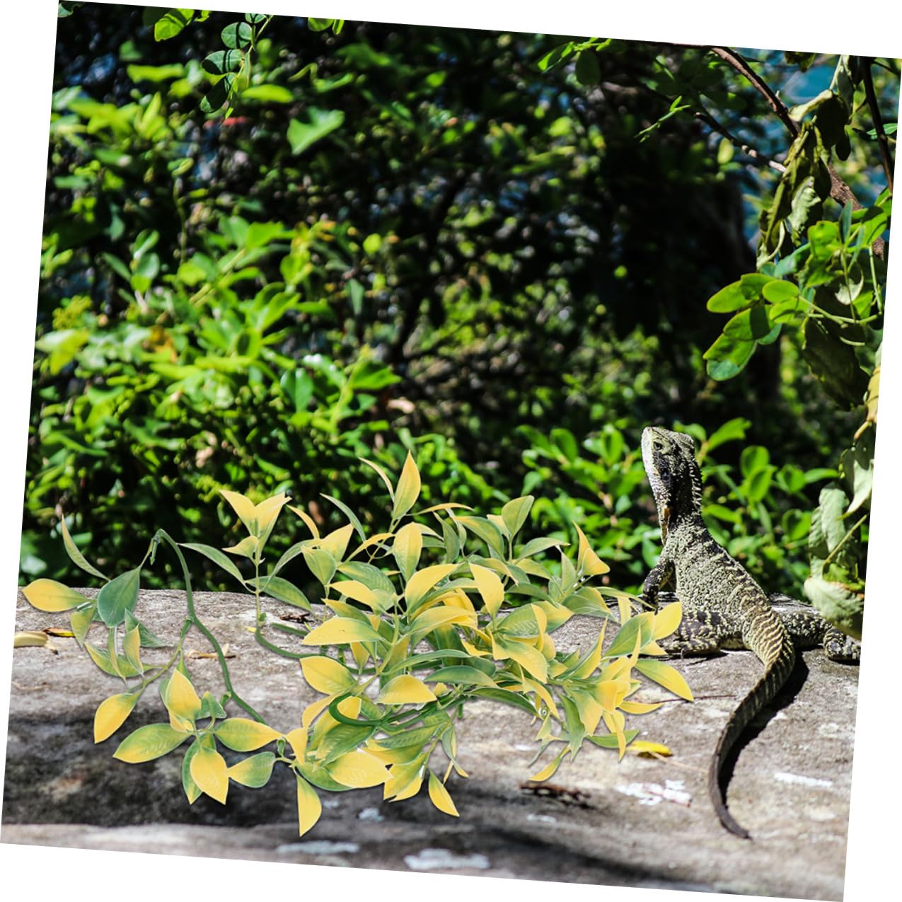 6piezas Plantas de Reptiles para Terrario Enredaderas Colgantes Artificiales de Plástico Decoración para Terrarios de Serpientes