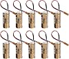 lt;10 Pack> 2600mAh CR8.LHC 3V Lithium Battery with Brown Plug for Fuji FDK CR8.LHC Battery
