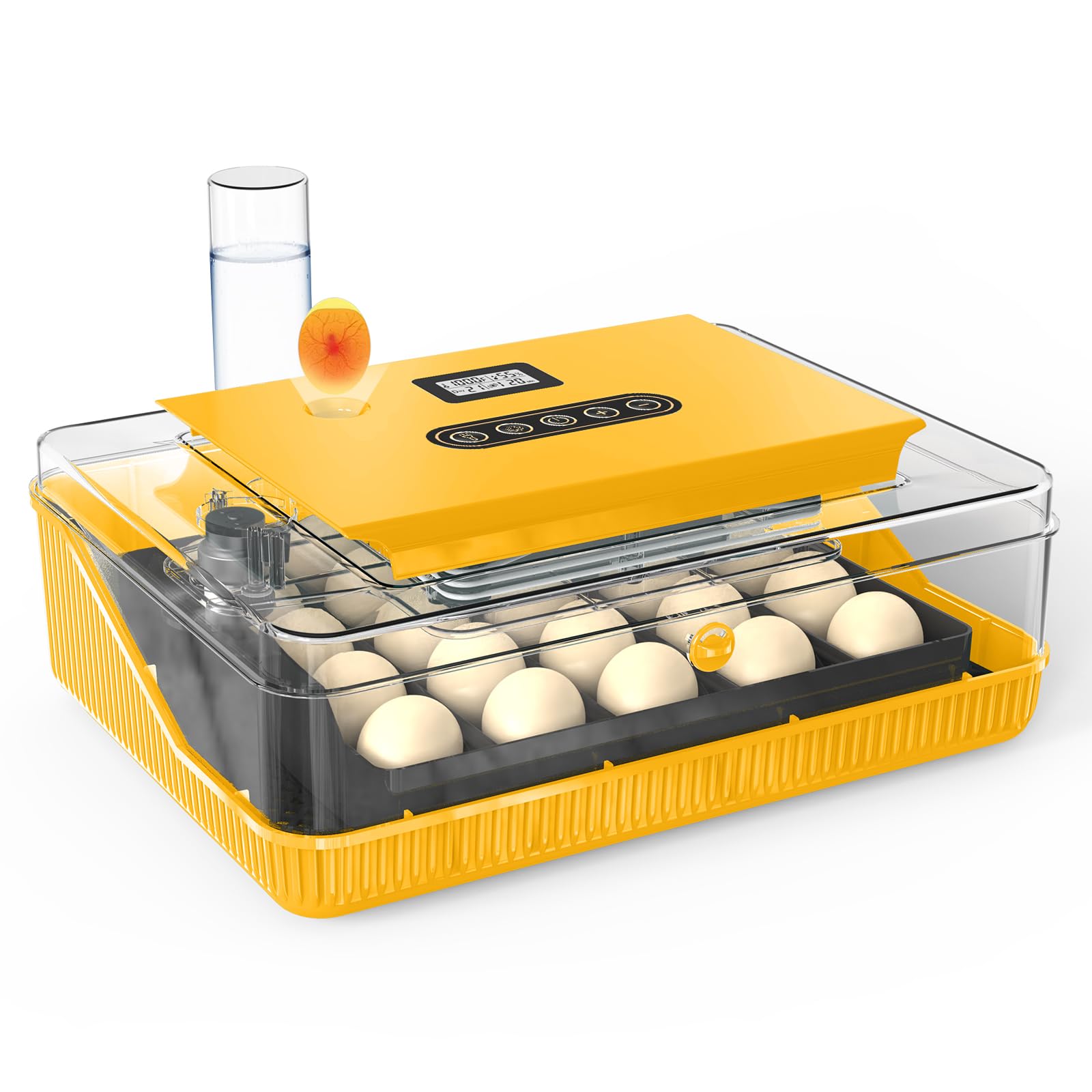 Incubadora de 25 huevos, incubadora para incubar huevos, con control de temperatura y humedad, giro automático de huevos, vela de huevo, para incubar codorniz, pollo, pato, huevos de ganso