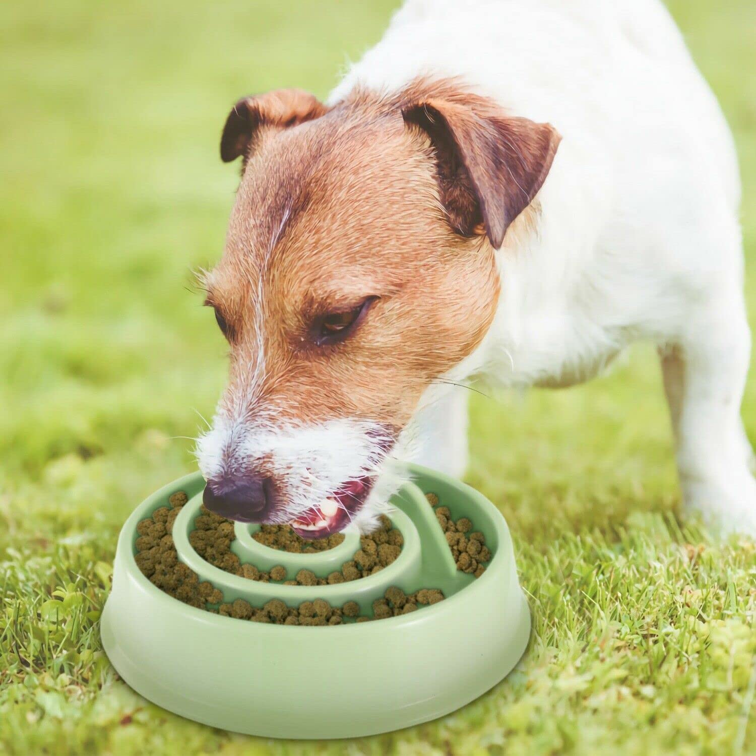 See full amazon price history chart for Pets Empire Slow Feeder Dog Bowl Anti-Slip Pet Cat Puppy Food Dish Water Feeding Bowl1 Piece (Color May Vary) Pets Empire Slow Feeder Dog Bowl Anti-Slip Pet Cat Puppy Food Dish Water Feeding Bowl1 Piece (Color May Vary) (B09QX2C9RM) Amazon Price History, Amazon Price Tracker