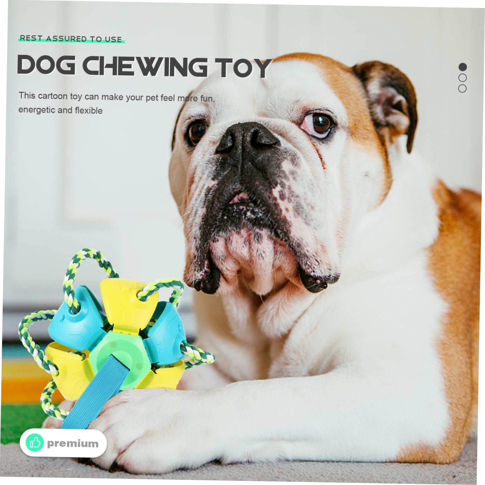 Hunde Wurfball Spielzeug für Draußen, Interaktiv, 1 Stück, Kunststoff
