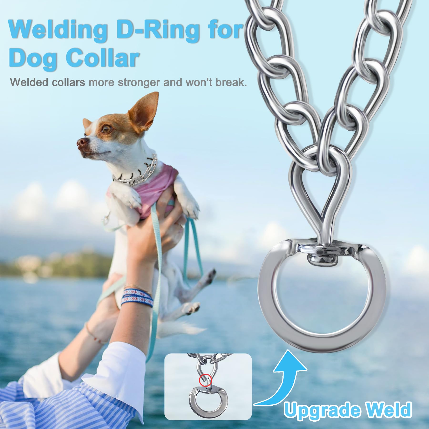 Pinch Collar Chain Collar For Puppy DOG PINCH PRONG CHOKE CHAIN