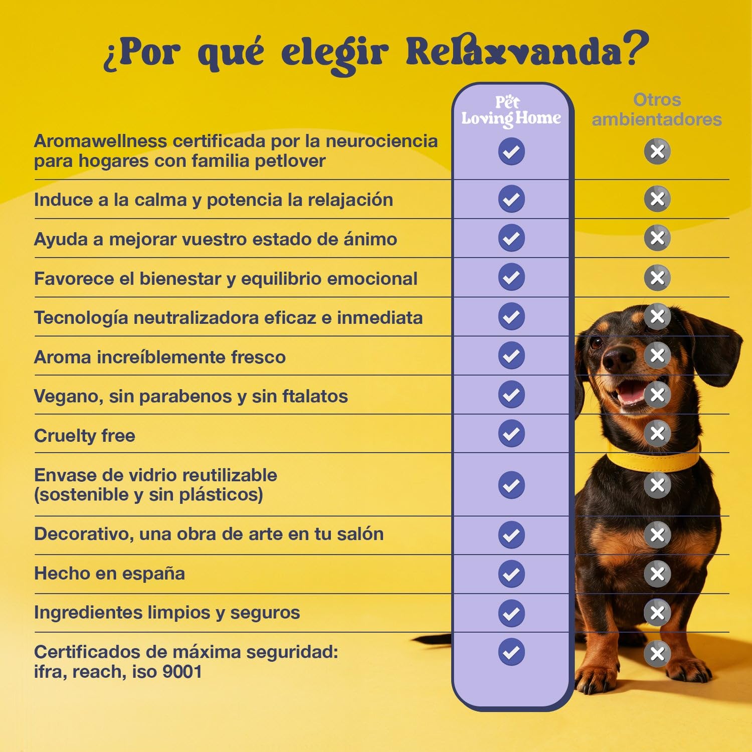 Pack Vela Aromática 350g + Ambientador Spray 200ml - Set Regalo Aroma Lavanda - Neutralizador de Olores de Mascotas - Pet Friendly Perro y Gato - Vela de Soja Decorativa