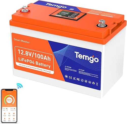 Batería de litio LiFePO4 de corte de baja temperatura de 12 V 100 AH con pantalla inteligente táctil y monitoreo de aplicaciones BMS integrado de