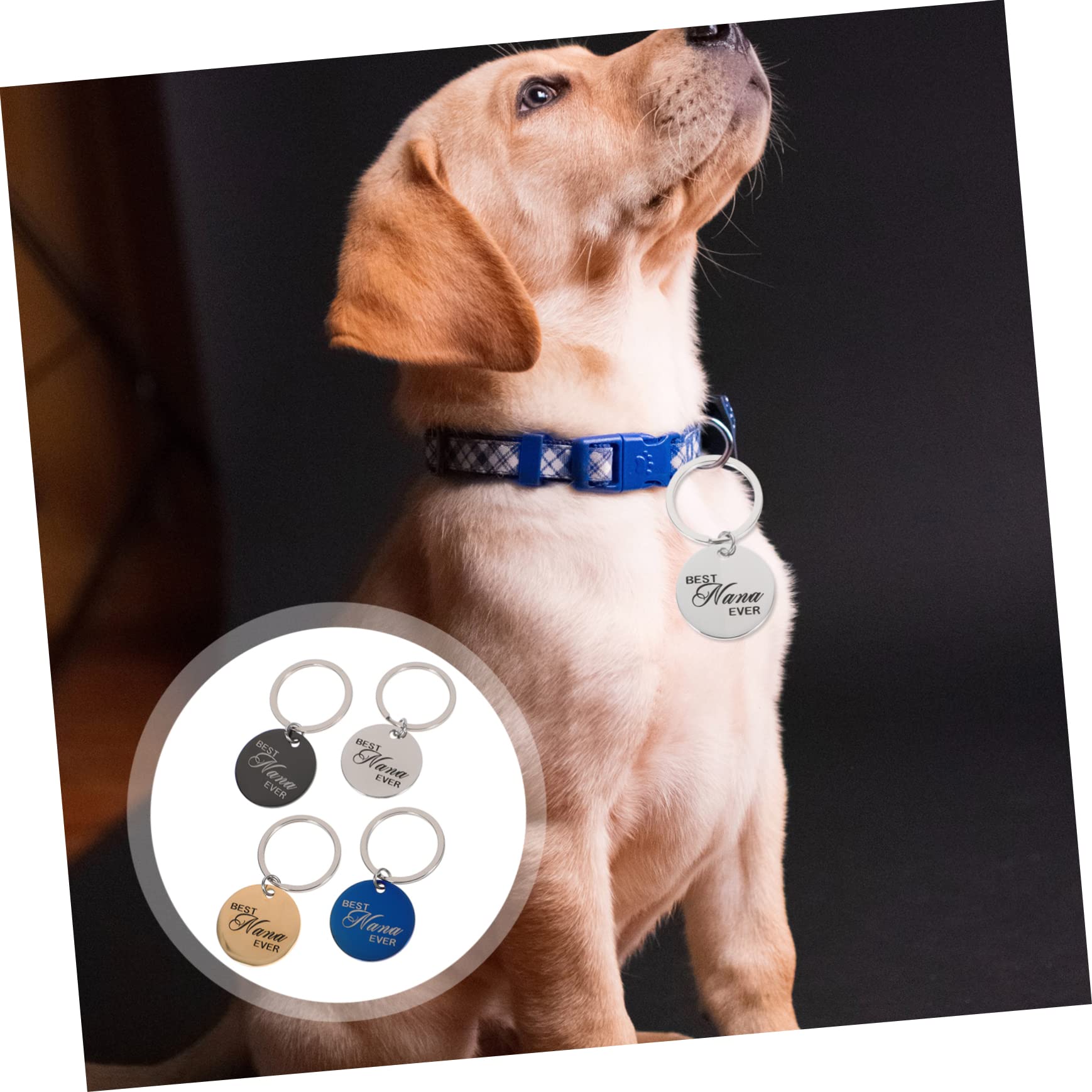 minkissy 20 Pz Identificazione dell'animale domestico medaglietta vuota targhette identificative per cani etichette cucciolo collare per cani con targhetta collare con per cani scritte