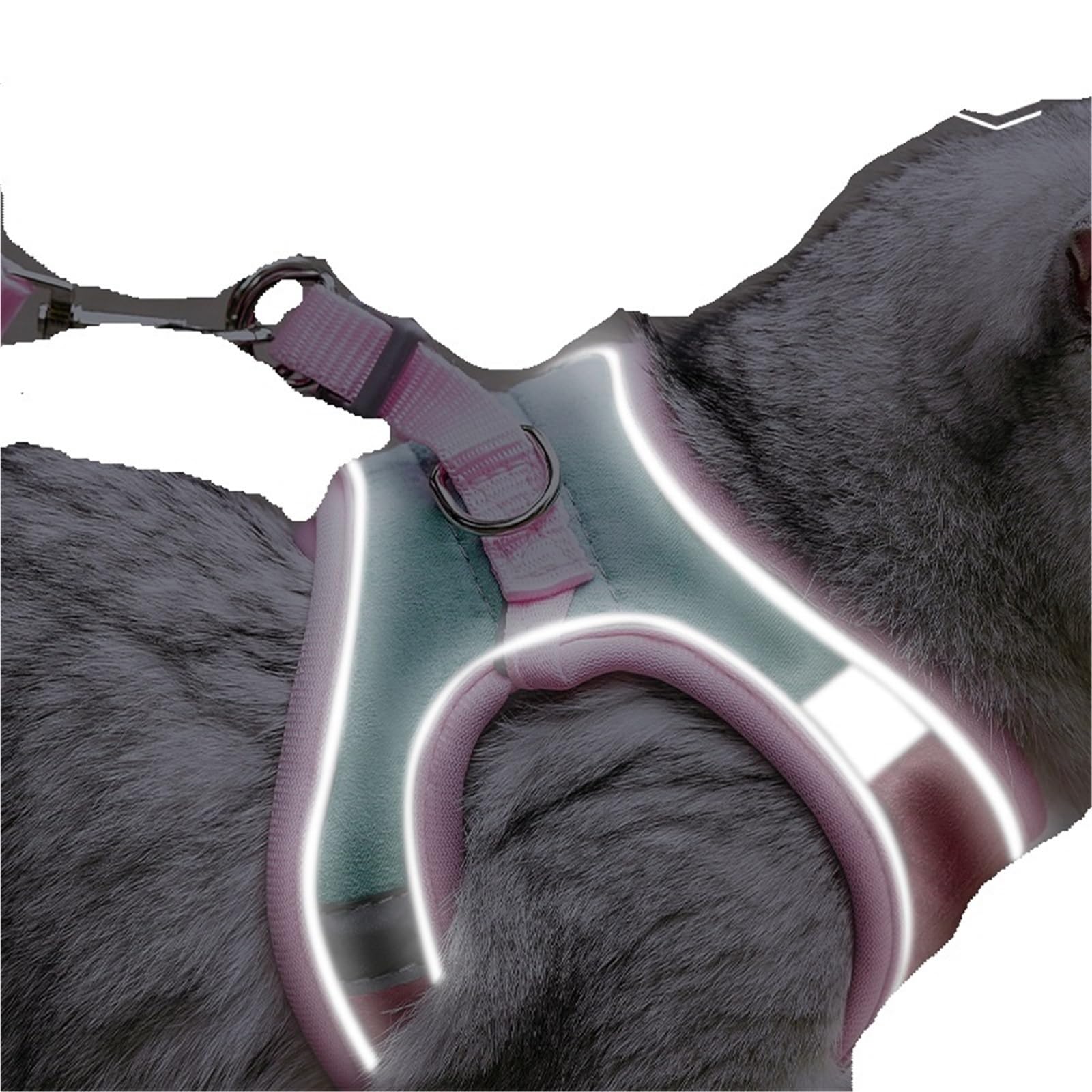 Ausbruchsicheres Katzengeschirr und Leine, bequeme Weste für sicheres Gehen im Freien, verstellbares, reflektierendes Kätzchengeschirr für Abenteuer, einfache Kontrolle für Indoor-Training